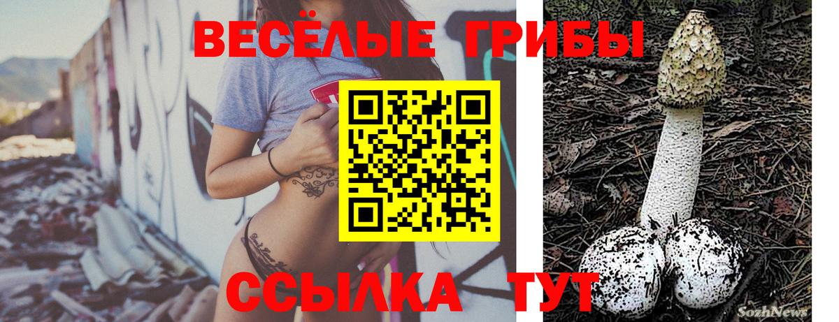 Псилоцибиновые грибы мицелий Котельники