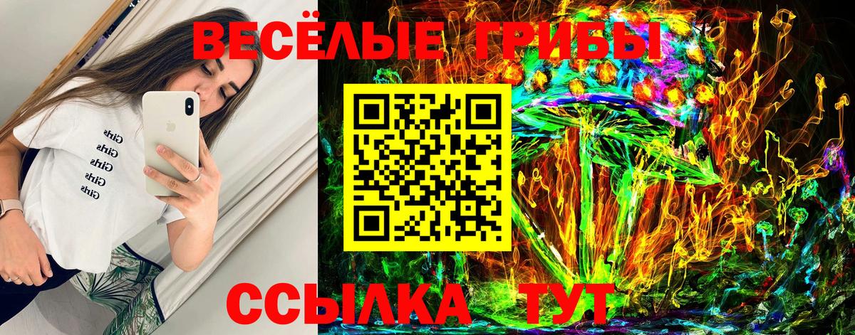 Галлюциногенные грибы MAGIC MUSHROOMS  Вход с VPN  Котельники 