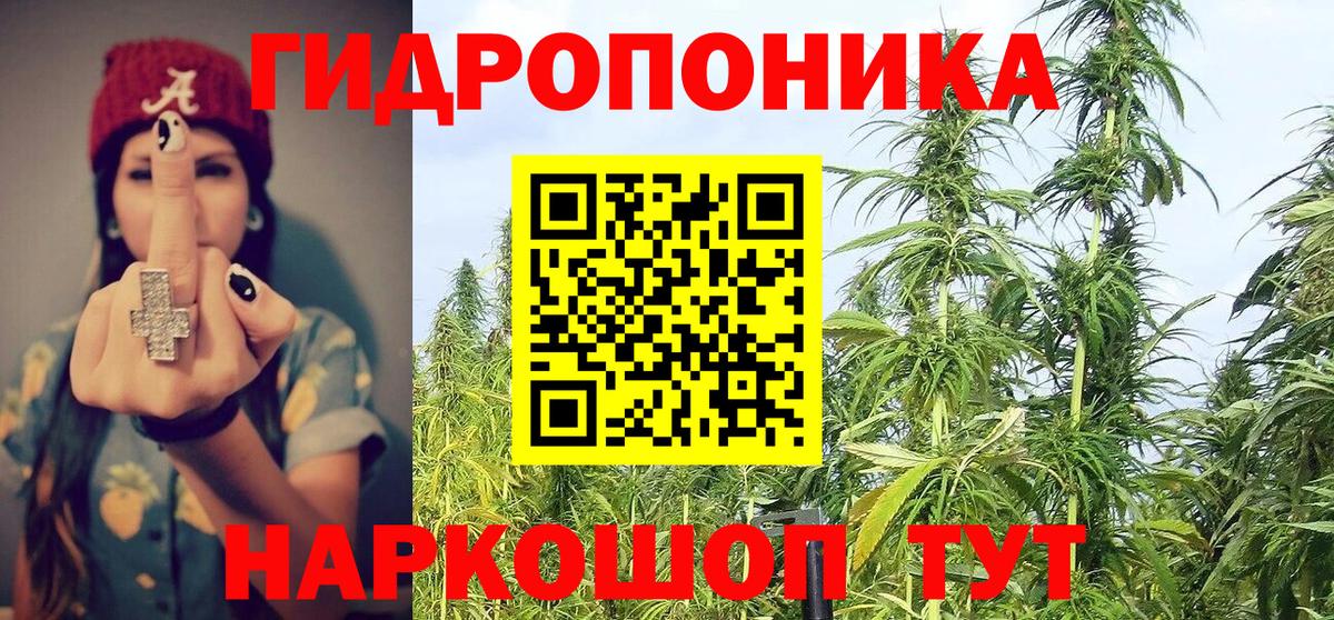 Котельники  Шишки марихуана семена  Вход с VPN  Шишки марихуана марихуана 